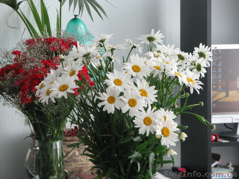 Семинар-тренинг для родителей. - <ro>Изображение</ro><ru>Изображение</ru> #1, <ru>Объявление</ru> #26414