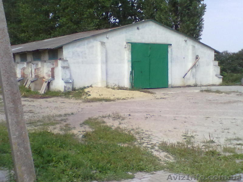 Предлагаeм производственно-складское помещение 1400 кв.м. - <ro>Изображение</ro><ru>Изображение</ru> #1, <ru>Объявление</ru> #736218