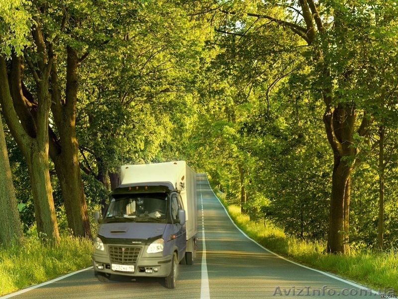 Вантажники Перевезення меблiв  Луцьк - Велика - <ro>Изображение</ro><ru>Изображение</ru> #1, <ru>Объявление</ru> #1153476