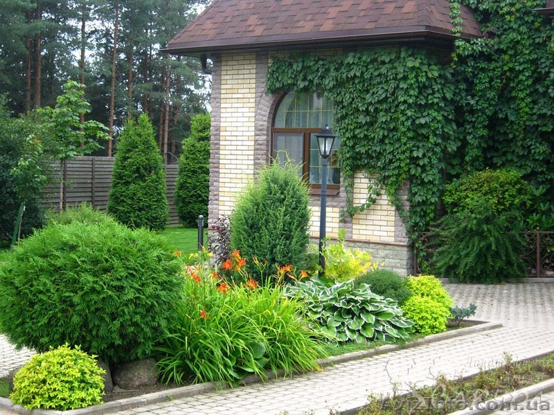 Курс Ландшафтний дизайн - <ro>Изображение</ro><ru>Изображение</ru> #1, <ru>Объявление</ru> #1552434