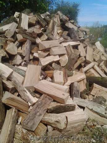 Дрова Луцьк продаж доставка - <ro>Изображение</ro><ru>Изображение</ru> #1, <ru>Объявление</ru> #1559900
