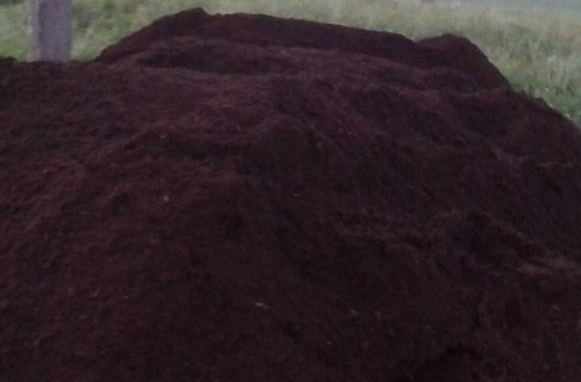 Купити чорнозем Луцьк грунт на засипку Луцьк - <ro>Изображение</ro><ru>Изображение</ru> #1, <ru>Объявление</ru> #1646813