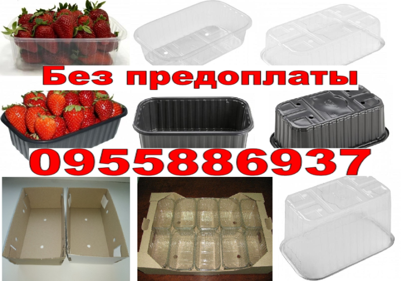 Пинетки 0,5кг 1кг для ягод клубники малины Гофротара Ящик Картон  - <ro>Изображение</ro><ru>Изображение</ru> #1, <ru>Объявление</ru> #1671672