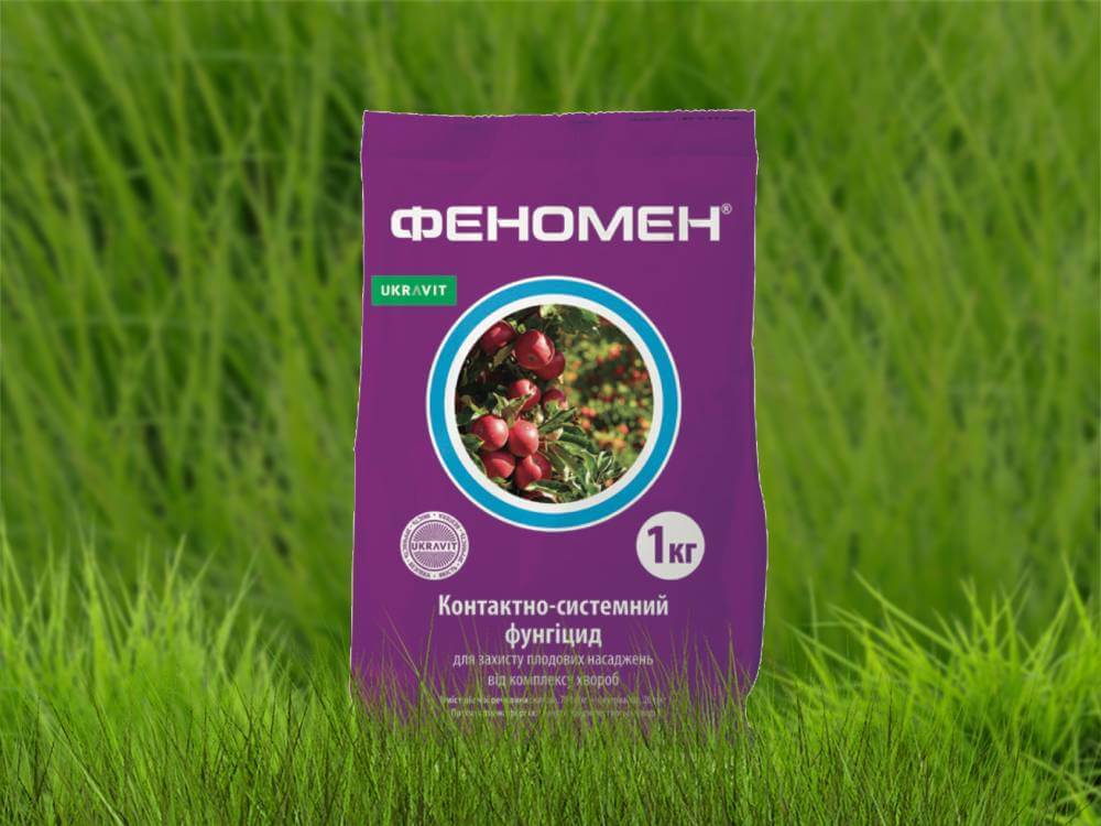Фунгіцид для саду, сої Феномен - Мерпан + - <ro>Изображение</ro><ru>Изображение</ru> #1, <ru>Объявление</ru> #1647217