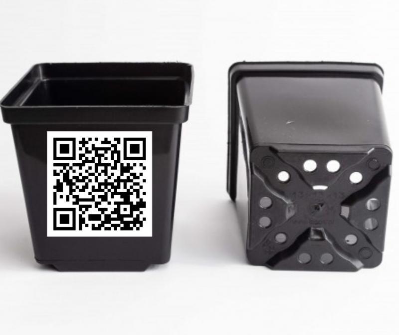 Квадратні горщики для квітів та розсади Kloda - <ro>Изображение</ro><ru>Изображение</ru> #1, <ru>Объявление</ru> #1743926