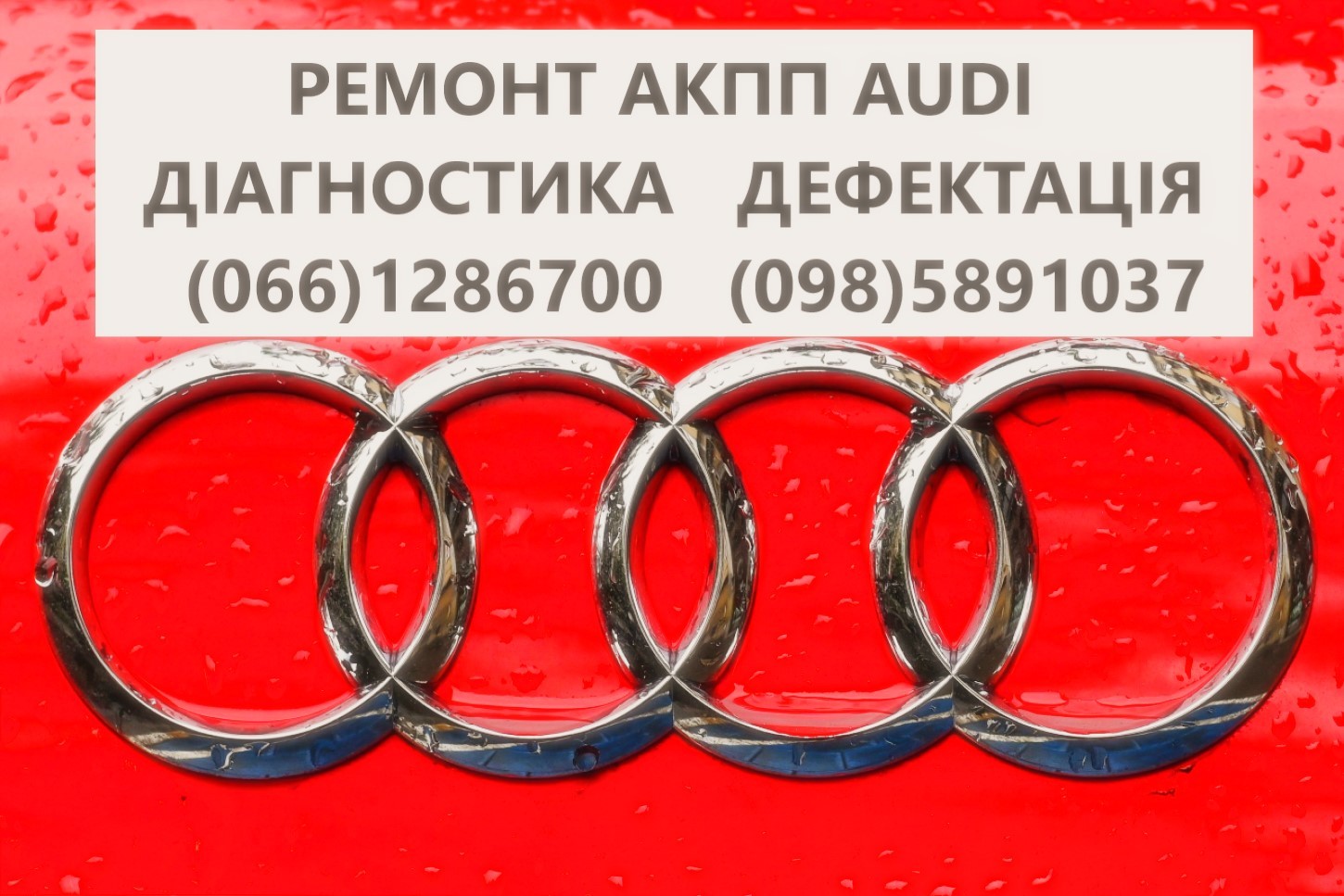 Ремонт АКПП Audi DSG # 09L300042H #0BK300040M  0AW,LDV,LDU,0D9,LZL,LHL - <ro>Изображение</ro><ru>Изображение</ru> #1, <ru>Объявление</ru> #1747173