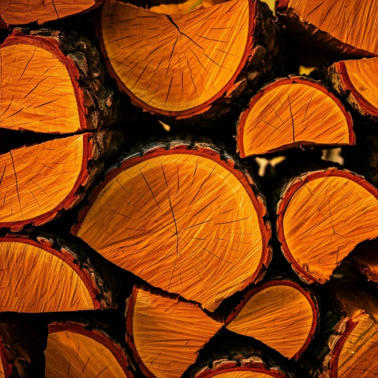 Дрова Луцьк – купуйте дрова та торфобрикет у нас - <ro>Изображение</ro><ru>Изображение</ru> #1, <ru>Объявление</ru> #1747767