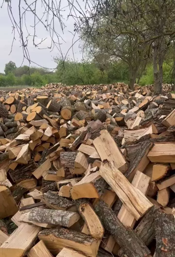 Купити дрова Млинів недорого швидка доставка - <ro>Изображение</ro><ru>Изображение</ru> #1, <ru>Объявление</ru> #1749537