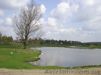 Место для рыбаков и охотников! Дом за 5000$! C участком.Торг. - <ro>Изображение</ro><ru>Изображение</ru> #3, <ru>Объявление</ru> #35415