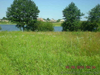 дачный земельный участок - <ro>Изображение</ro><ru>Изображение</ru> #3, <ru>Объявление</ru> #119832