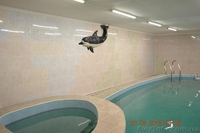 Рентабельный бизнес  под  ключ - <ro>Изображение</ro><ru>Изображение</ru> #4, <ru>Объявление</ru> #611436