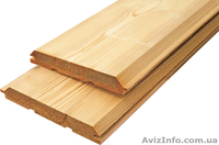 Лиственница сибирская Луцк Украина - <ro>Изображение</ro><ru>Изображение</ru> #5, <ru>Объявление</ru> #153138