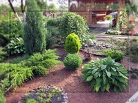 Ландшафтный дизайн Озеленение - <ro>Изображение</ro><ru>Изображение</ru> #3, <ru>Объявление</ru> #735499