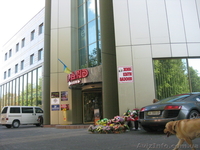 Сдадим помещение с ремонтом для организации кафе, пиццерии, фаст-фуда и т.д. - <ro>Изображение</ro><ru>Изображение</ru> #4, <ru>Объявление</ru> #754943