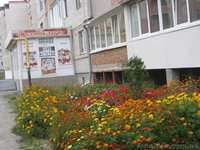 Срочно сдадим  в аренду помещение  для магазина-офиса или розничной торговли! - <ro>Изображение</ro><ru>Изображение</ru> #1, <ru>Объявление</ru> #787498