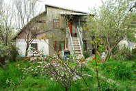 Дача 65 м² пгт. Орджоникидзе 4 сотки Крым  - <ro>Изображение</ro><ru>Изображение</ru> #1, <ru>Объявление</ru> #841615