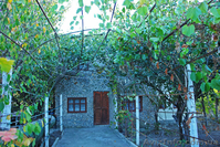 Дача 65 м² пгт. Орджоникидзе 4 сотки Крым  - <ro>Изображение</ro><ru>Изображение</ru> #2, <ru>Объявление</ru> #841615