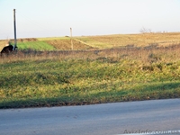 Продам ділянку 0,25 га за 4900$ (Власник) - <ro>Изображение</ro><ru>Изображение</ru> #2, <ru>Объявление</ru> #857177