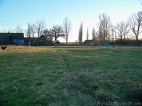 Продам ділянку 0,25 га за 4900$ (Власник) - <ro>Изображение</ro><ru>Изображение</ru> #3, <ru>Объявление</ru> #857177