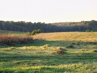 Продам ділянку 0,25 га за 4900$ (Власник) - <ro>Изображение</ro><ru>Изображение</ru> #4, <ru>Объявление</ru> #857177