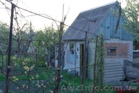 Продам дачу Веснянка - <ro>Изображение</ro><ru>Изображение</ru> #6, <ru>Объявление</ru> #897338