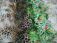 продам трикотажную ткань - <ro>Изображение</ro><ru>Изображение</ru> #6, <ru>Объявление</ru> #918872