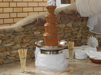 Шоколадный фонтан Луцк, фруктовые композиции, пальмы - <ro>Изображение</ro><ru>Изображение</ru> #3, <ru>Объявление</ru> #445865