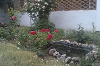 Летний отдых на Азове, п.Генгорка, рядом панс.Мелиоратор - <ro>Изображение</ro><ru>Изображение</ru> #1, <ru>Объявление</ru> #907258