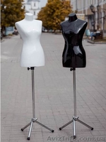 Манекен женский выставочный  - <ro>Изображение</ro><ru>Изображение</ru> #1, <ru>Объявление</ru> #1329517