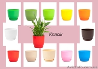 Купити оптом Кашпо для орхідей і горшки для вазонів від виробника - <ro>Изображение</ro><ru>Изображение</ru> #1, <ru>Объявление</ru> #1483848