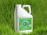 Гербіцид для гречки Квін Стар Макс  - <ro>Изображение</ro><ru>Изображение</ru> #1, <ru>Объявление</ru> #1599261