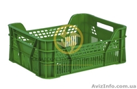 Пластиковые ящики для фруктов,овощей, ягод - <ro>Изображение</ro><ru>Изображение</ru> #1, <ru>Объявление</ru> #1607730