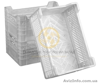 Куриные пластмассовые ящики - <ro>Изображение</ro><ru>Изображение</ru> #2, <ru>Объявление</ru> #1607732