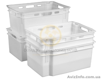 Пластиковые ящики для молока - <ro>Изображение</ro><ru>Изображение</ru> #2, <ru>Объявление</ru> #1607733