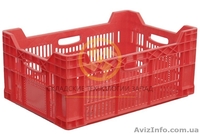 Куриные пластмассовые ящики - <ro>Изображение</ro><ru>Изображение</ru> #3, <ru>Объявление</ru> #1607732