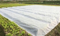 Теплична плівка агроволокно - <ro>Изображение</ro><ru>Изображение</ru> #4, <ru>Объявление</ru> #1680768