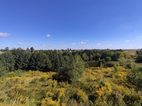 Продаж будинку з власним ставком! - <ro>Изображение</ro><ru>Изображение</ru> #2, <ru>Объявление</ru> #1693178