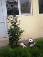 Летний отдых на Азове, п.Генгорка, рядом панс.Мелиоратор - <ro>Изображение</ro><ru>Изображение</ru> #2, <ru>Объявление</ru> #907258