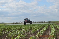 Розпилювачі РОСА, распылители РОСА, форсунки, инжекторный распылитель - <ro>Изображение</ro><ru>Изображение</ru> #6, <ru>Объявление</ru> #1712696