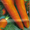 семена моркви Лосиноостровской #953901