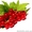 Куплю ягоди смородини і порічки, закупка смородини гуртом - <ro>Изображение</ro><ru>Изображение</ru> #1, <ru>Объявление</ru> #1623186