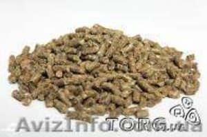 Продам корм для шиншил Запорожье