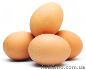 Меланж яичный, яйцо куриное - <ro>Изображение</ro><ru>Изображение</ru> #1, <ru>Объявление</ru> #454589