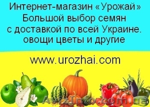 Семена почтой по Украине - <ro>Изображение</ro><ru>Изображение</ru> #1, <ru>Объявление</ru> #648090