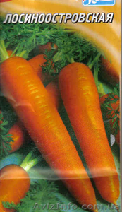 семена моркви Лосиноостровской - <ro>Изображение</ro><ru>Изображение</ru> #1, <ru>Объявление</ru> #953901
