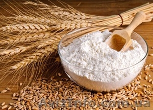 Продам муку оптом.