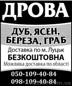 Дрова торфобрикет Луцьк найкраща ціна  - <ro>Изображение</ro><ru>Изображение</ru> #1, <ru>Объявление</ru> #1559895