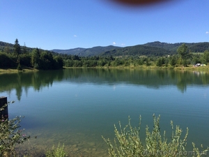 СРОЧНО!!! Продам форелевое хозяйство в Ивано-Франковская область.