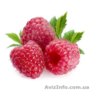 Куплю свіжі ягоди малини, закупка малини Україна - <ro>Изображение</ro><ru>Изображение</ru> #1, <ru>Объявление</ru> #1583161