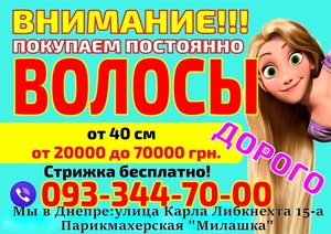 Куплю волосы в Днепре Продать волосы Днепр Дорого Покупка волос